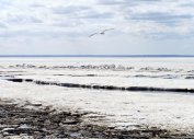 Туры на Белое море из Балашихи